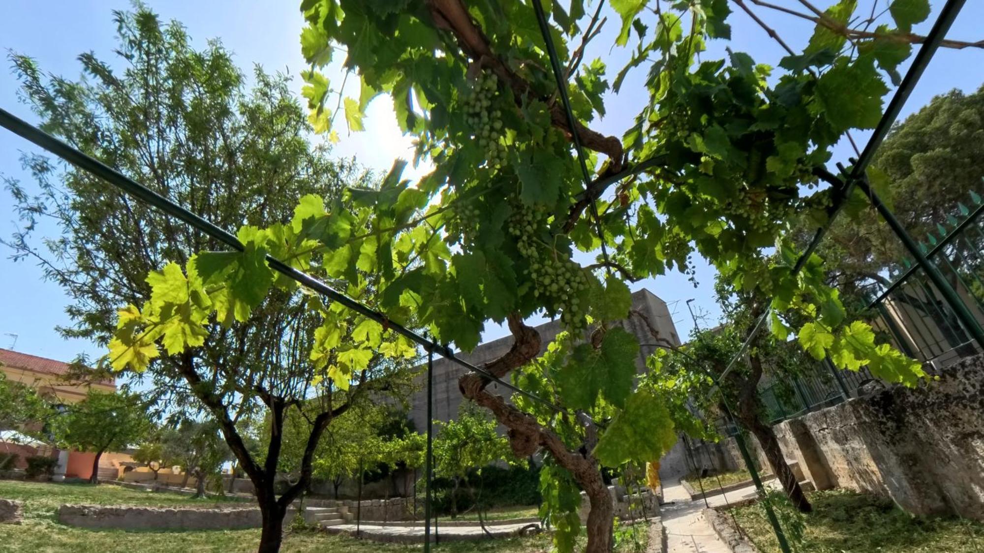 Villa Sine Tempore Fumarola Matera Eksteriør bilde